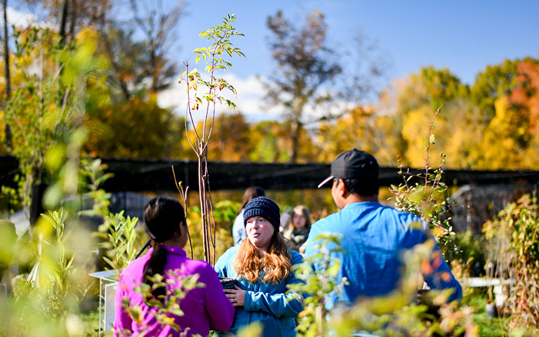 EPB employees handing out free trees