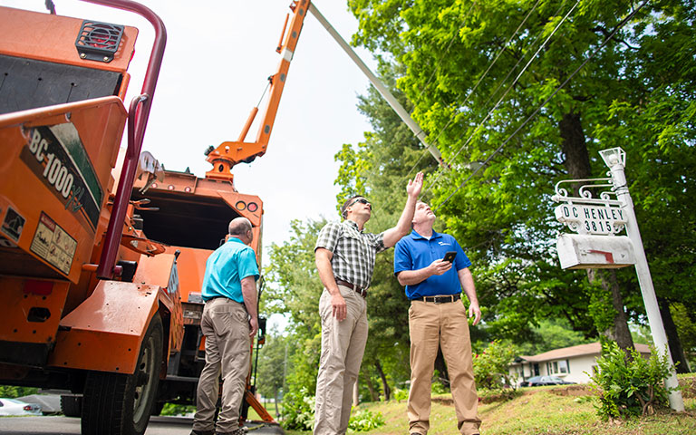 EPB Employees looking up at trees near power lines